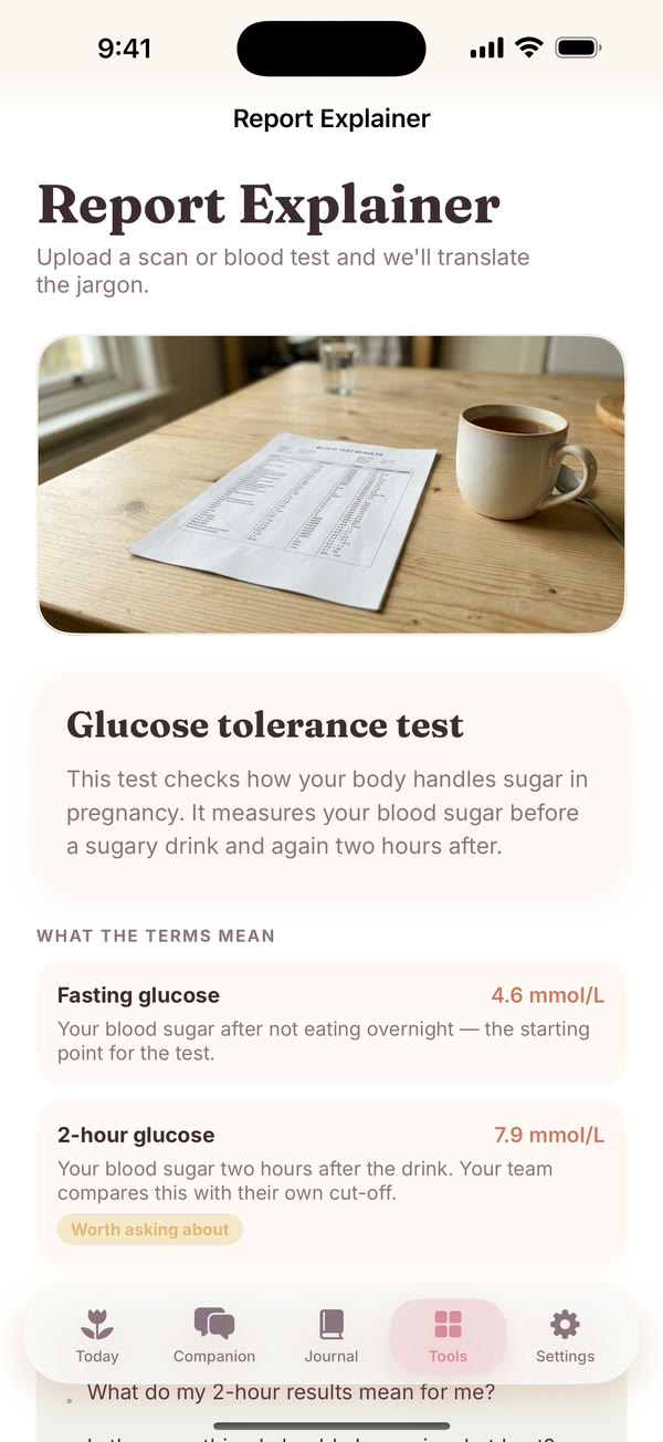 The Report Explainer on a glucose tolerance test.